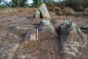 Les Hameaux du Parc, Besné
