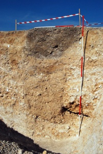 Les Vieilles Vignes, Mesnil-Saint-Loup
