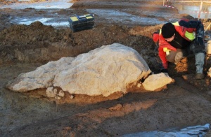 Les Hameaux du Parc, Besné