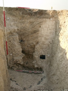 Les Vieilles Vignes, Mesnil-Saint-Loup