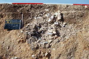 Les Vieilles Vignes, Mesnil-Saint-Loup