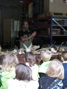 JNA 2015, atelier archéozoologie