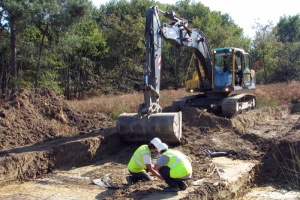 Le Péhau, Coimères