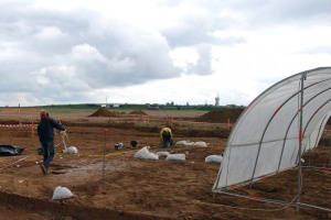 Les Misagroux, Blois