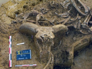 ZAC du Ternoy, Quincy-Voisins