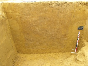 ZAC du Ternoy, Quincy-Voisins