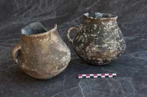 Petit Beaulieu, Clermont-Ferrand