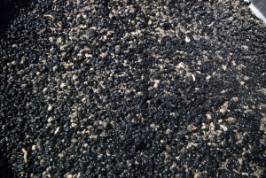 Petit Beaulieu, Clermont-Ferrand