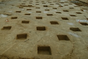 fouille en carroyage, site de Pujo-le-Plan