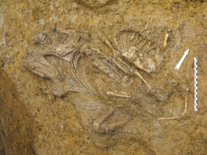 ZAC du Ternoy, Quincy-Voisins