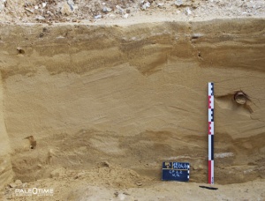 Les Plantins 2, Beynes