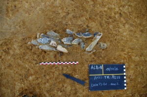 Les Bries, Appoigny (phase 2)