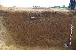 Les Bries, Appoigny (phase 1)