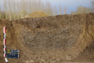 Les Basses Veuves zone 2, Pont-sur-Yonne