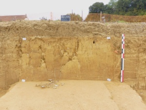 Parc d'activités de Mouroux-Plateau de Voisins, Mouroux
