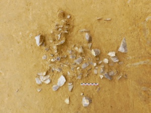 Parc d'activités de Mouroux-Plateau de Voisins, Mouroux