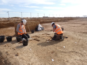 Le Bois de Fransache, Illiers-Combray