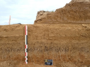 Le Bois de Fransache, Illiers-Combray